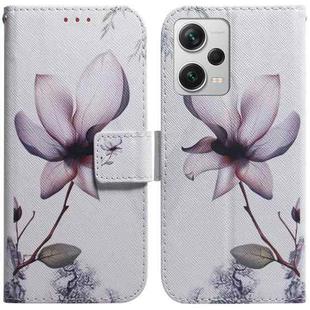 For Xiaomi Redmi Note 12 Pro+ Coloured Drawing Flip Leather Phone Case(Magnolia)