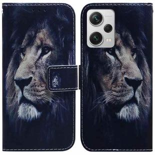 For Xiaomi Redmi Note 12 Pro+ Coloured Drawing Flip Leather Phone Case(Lion)