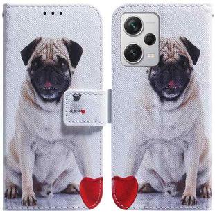 For Xiaomi Redmi Note 12 Pro+ Coloured Drawing Flip Leather Phone Case(Pug)