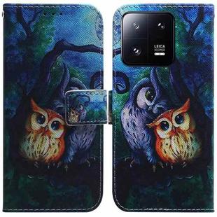For Xiaomi 13 Pro 5G Coloured Drawing Flip Leather Phone Case(Oil Painting Owl)