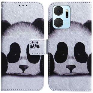 For Honor X7A Coloured Drawing Flip Leather Phone Case(Panda)