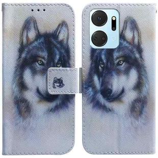 For Honor X7A Coloured Drawing Flip Leather Phone Case(White Wolf)