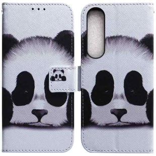 For Sony Xperia 1 IV 2023 Coloured Drawing Flip Leather Phone Case(Panda)