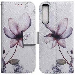 For Sony Xperia 10 IV 2023 Coloured Drawing Flip Leather Phone Case(Magnolia)