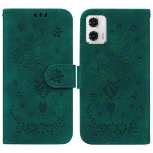 For Motorola Moto G73 Butterfly Rose Embossed Leather Phone Case(Green)