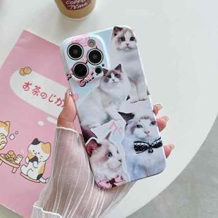 For iPhone 14 Plus PC Phone Case(White Cat)