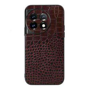 For OnePlus 11R/Ace 2 Crocodile Texture Genuine Leather Phone Case(Coffee)