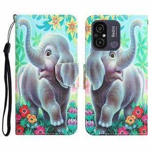 For Xiaomi Redmi 12C Colored Drawing Leather Phone Case(Elephant)