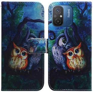 For Xiaomi Redmi 12C / 11A Coloured Drawing Flip Leather Phone Case(Oil Painting Owl)