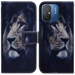 For Xiaomi Redmi 12C / 11A Coloured Drawing Flip Leather Phone Case(Lion)