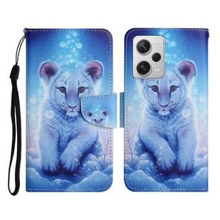 For Xiaomi Redmi Note 12 Pro 5G/Poco X5 Pro Colored Drawing Pattern Flip Leather Phone Case(Little Leopard)