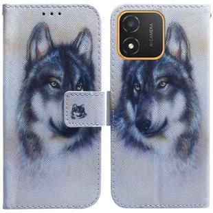 For Honor X5 Coloured Drawing Flip Leather Phone Case(White Wolf)