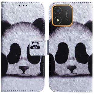 For Honor X5 Coloured Drawing Flip Leather Phone Case(Panda)