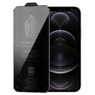 For iPhone 12 Pro WK WTP-067 King Kong Vacha 9D Curved Privacy Tempered Glass Film(Black)