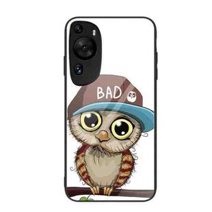 For Huawei P60 Art Colorful Painted Glass Phone Case(Owl)