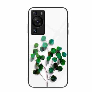For Huawei P60 Colorful Painted Glass Phone Case(Sapling)