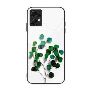 For Xiaomi Redmi Note 12 4G Global Colorful Painted Glass Phone Case(Sapling)