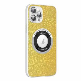 For iPhone 13 Pro Colorful Glitter Magnetic Magsafe TPU + PC Phone Case(Bright Yellow)