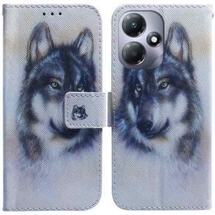 For Infinix Hot 30 Play Coloured Drawing Flip Leather Phone Case(White Wolf)