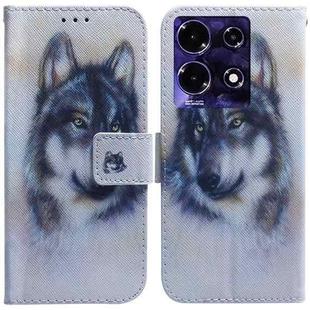 For Infinix Note 30 Coloured Drawing Flip Leather Phone Case(White Wolf)