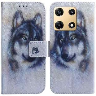 For Infinix Note 30 Pro Coloured Drawing Flip Leather Phone Case(White Wolf)