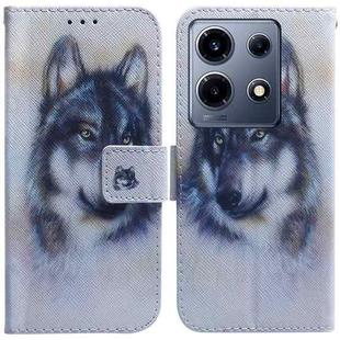 For Infinix Note 30 VIP Coloured Drawing Flip Leather Phone Case(White Wolf)