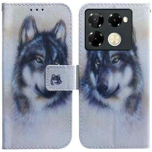 For Infinix Note 40 Pro+ 5G Coloured Drawing Flip Leather Phone Case(White Wolf)