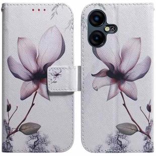 For Tecno Pova Neo 3 Coloured Drawing Flip Leather Phone Case(Magnolia)