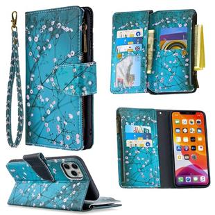 For iPhone 11 Pro Max Colored Drawing Pattern Zipper Horizontal Flip Leather Case with Holder & Card Slots & Wallet(Plum Blossom)