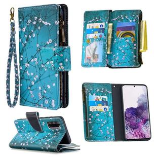 For Samsung Galaxy S20 Colored Drawing Pattern Zipper Horizontal Flip Leather Case with Holder & Card Slots & Wallet(Plum Blossom)