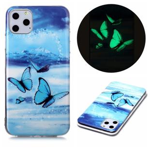 For iPhone 11 Pro Max Luminous TPU Soft Protective Case(Double Butterflies)