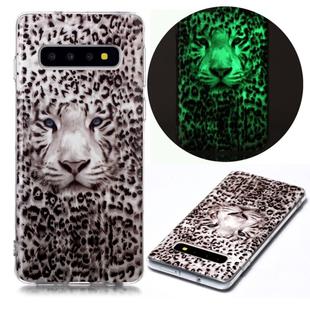 For Samsung Galaxy S10 Luminous TPU Soft Protective Case(Leopard Tiger)