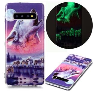For Samsung Galaxy S10+ Luminous TPU Soft Protective Case(Seven Wolves)