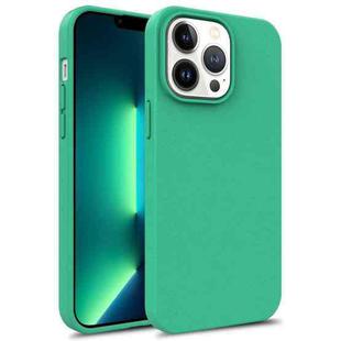 For iPhone 15 Pro Max TPU Shockproof Phone Case(Green)