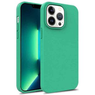 For iPhone 15 Pro TPU Shockproof Phone Case(Green)