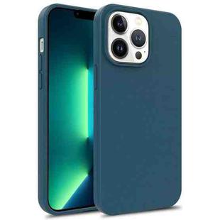 For iPhone 15 Pro TPU Shockproof Phone Case(Blue)
