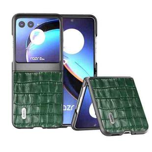 For Motorola Razr 40 Ultra ABEEL Crocodile Texture Genuine Leather Phone Case(Green)