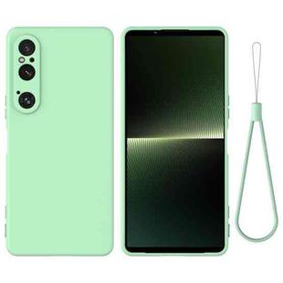 For Sony Xperia 1 VI Pure Color Liquid Silicone Shockproof Phone Case(Green)