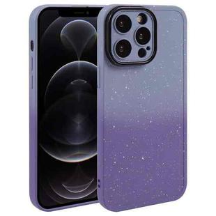 For iPhone 12 Pro Gradient Starry Silicone Phone Case with Lens Film(Grey Purple)