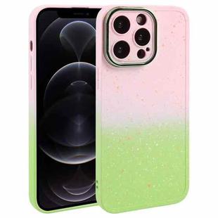 For iPhone 12 Pro Gradient Starry Silicone Phone Case with Lens Film(Pink Green)