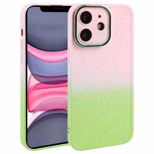 For iPhone 11 Gradient Starry Silicone Phone Case with Lens Film(Pink Green)