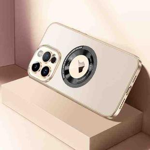 For iPhone 13 Pro CD Texture MagSafe Magnetic Phone Case(Champagne Gold)