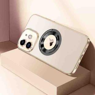 For iPhone 12 CD Texture MagSafe Magnetic Phone Case(Champagne Gold)