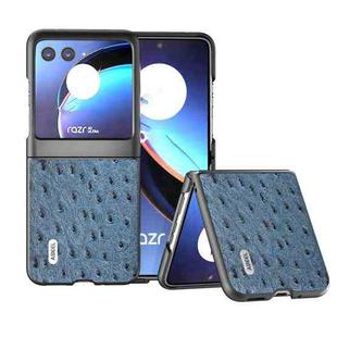 For Motorola Razr 40 Ultra ABEEL Genuine Leather Ostrich Texture Phone Case(Blue)