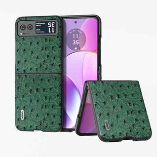 For Motorola Razr 40 Ultra ABEEL Genuine Leather Ostrich Texture Phone Case(Green)