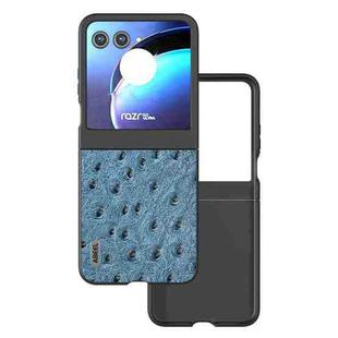 For Motorola Razr 50 ABEEL Genuine Leather Ostrich Texture Phone Case(Blue)