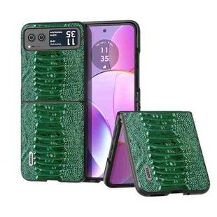 For Motorola Razr 40 ABEEL Genuine Leather Weilai Series Phone Case(Green)