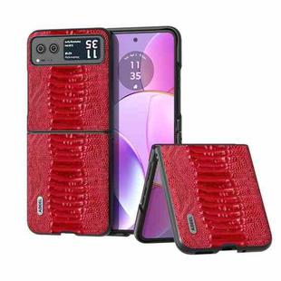 For Motorola Razr 40 ABEEL Genuine Leather Weilai Series Phone Case(Red)