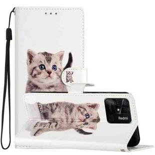 For Xiaomi Redmi 10C Colored Drawing Leather Phone Case(Little Tabby Cat)