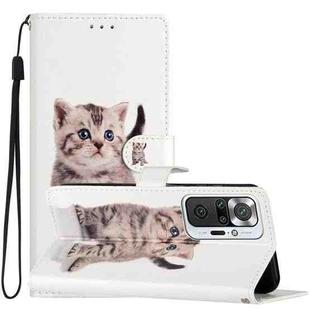 For Xiaomi Redmi Note 10 Pro Colored Drawing Leather Phone Case(Little Tabby Cat)